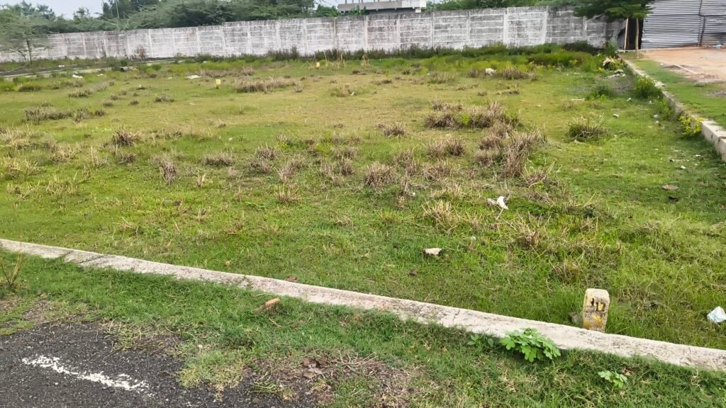 IMG 20260726 172428